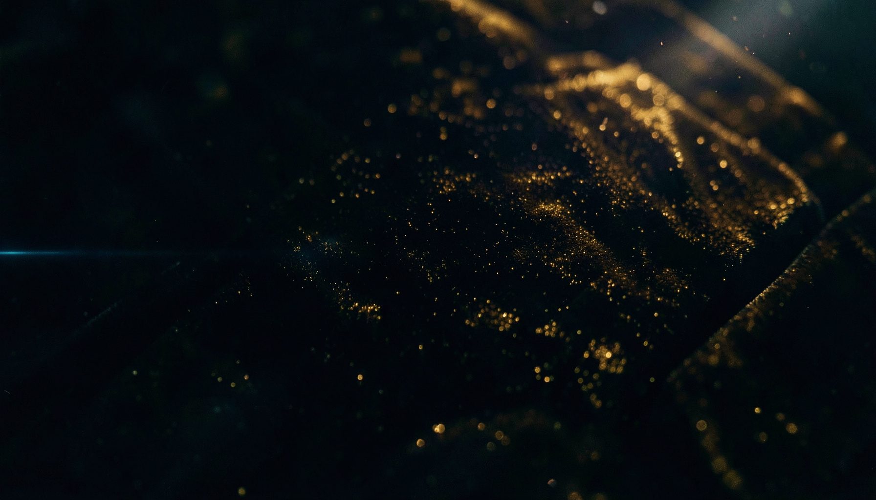 Velvet black and burnished gold tones with subtle light flares